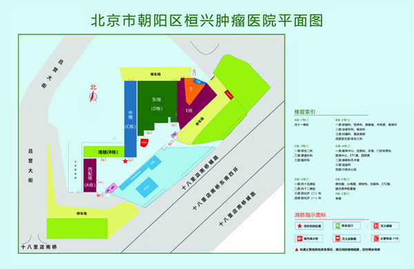 户外大鸡巴操穴视频北京市朝阳区桓兴肿瘤医院平面图